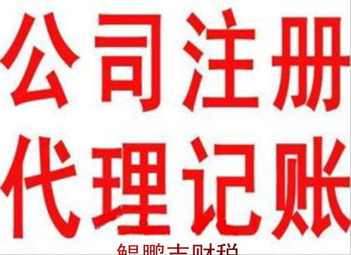一般納稅人申請與商務顧問 一對一貼心服務助力企業成長